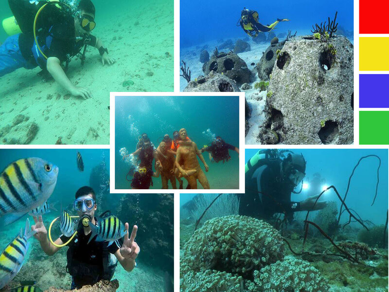 Top Diving Sites in Kish Island in Iran
